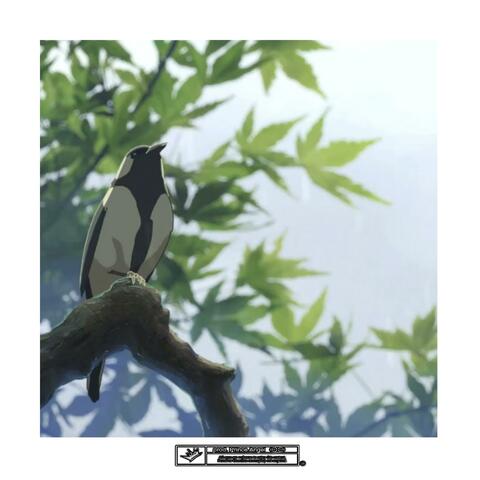 Early Bird