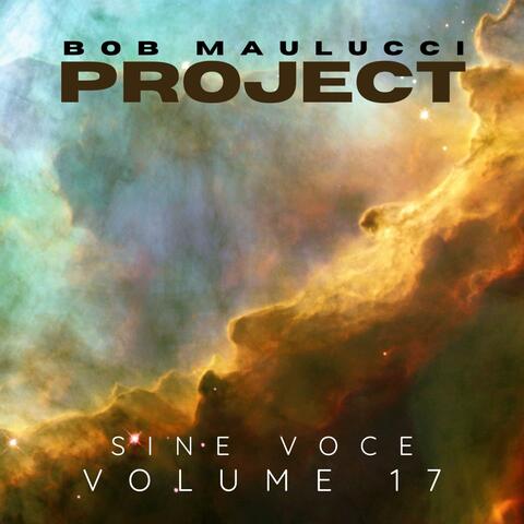 Sine Voce, Volume Seventeen