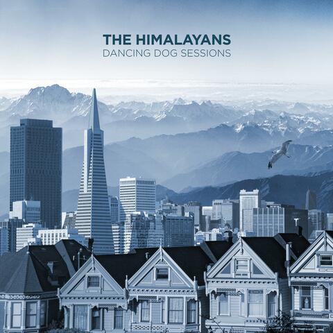 Dancing Dog Sessions