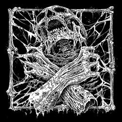 Parasitic Dissection