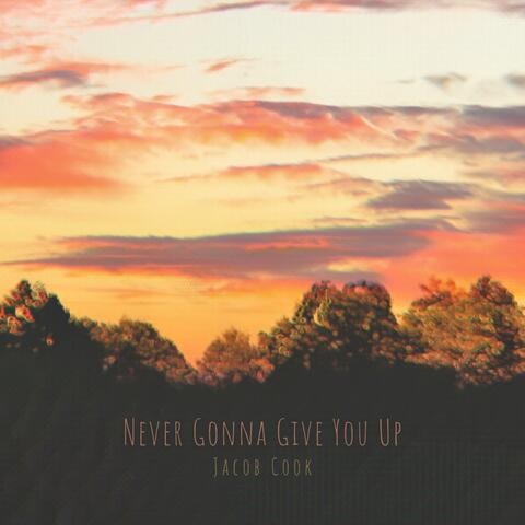 Never Gonna Give You Up