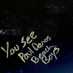 Paul Dano's Beach Boys