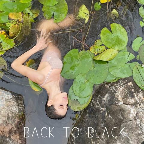 Back To Black (Live)