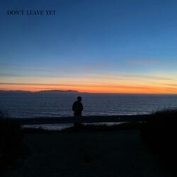 Don't Leave Yet
