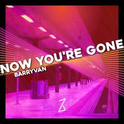 Now you're gone