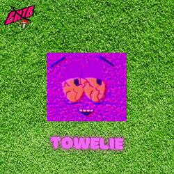 Towelie