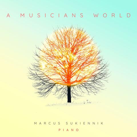 A Musicians World