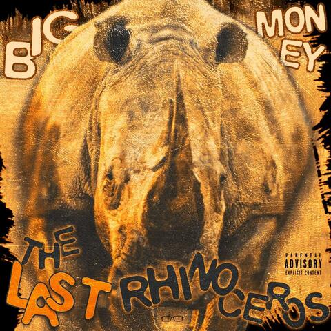 The last rhinoceros