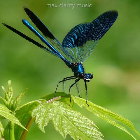 Dragonfly Magic