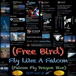 (Free Bird) Fly Like A Falcon [Falcon Fly Dragon Dive] Space X