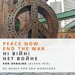 Peace Now, End the War (Ні Війні, Нет Войне) - for Ukraine