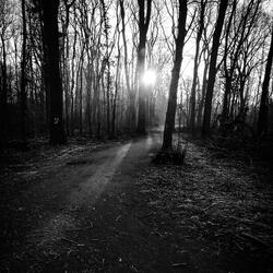 The Atmosphere Awakens