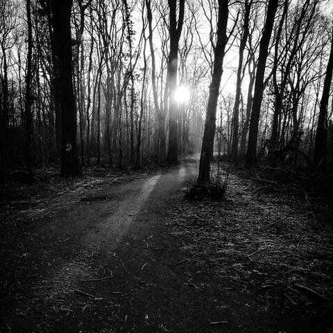 The Atmosphere Awakens