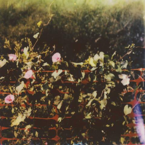 Your Love is Not Enough