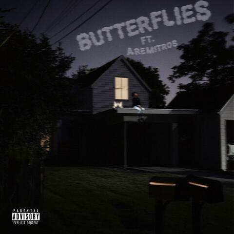 Butterflies (feat. AremitRo$)