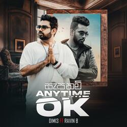 Anytime OK (feat. Ravin' B)