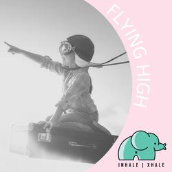Flying High