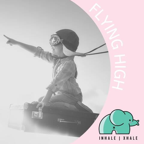 Flying High
