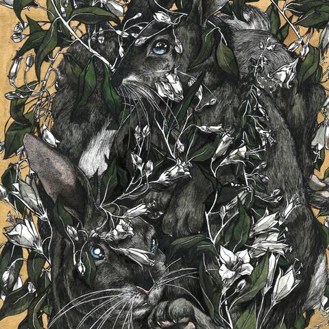 Hares on the Mountain