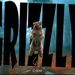 Grizzly