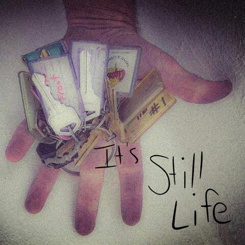 It's Still Life (feat.$teve)