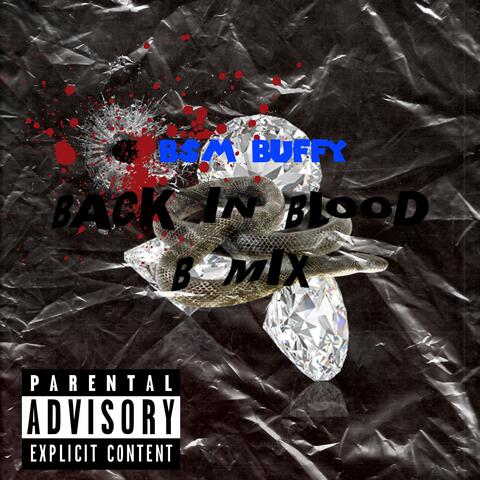 Back In Blood (Bmix)