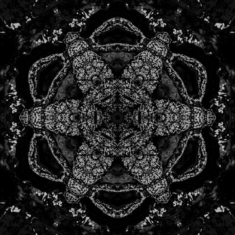 Flint Vulture (Live & Covers)