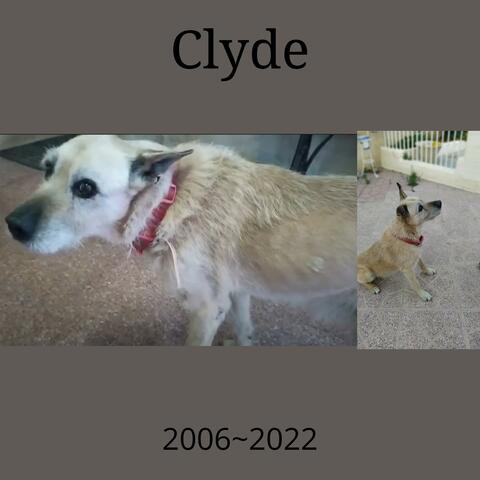 Clyde