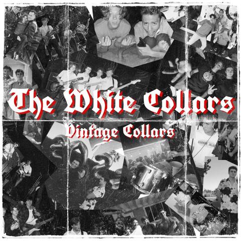 Vintage Collars
