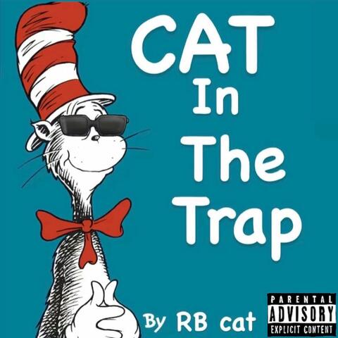 Cat In The Trap
