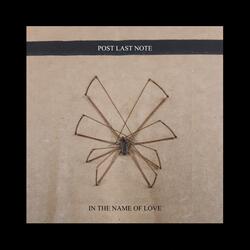 In the Name of Love