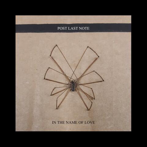 In the Name of Love