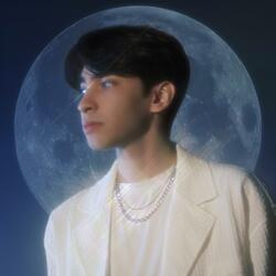 Fly Me To The Moon