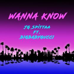 Wanna Know (feat. BIGBABYGUCCI)