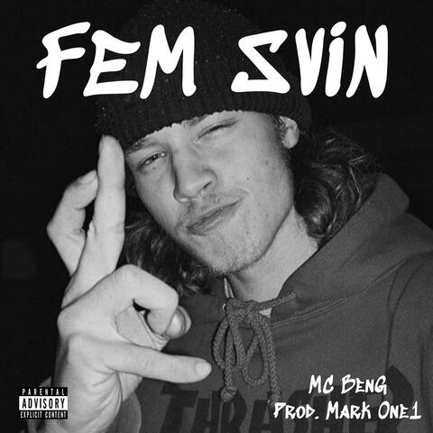 FEM SVIN