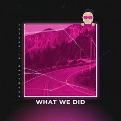 What We Did