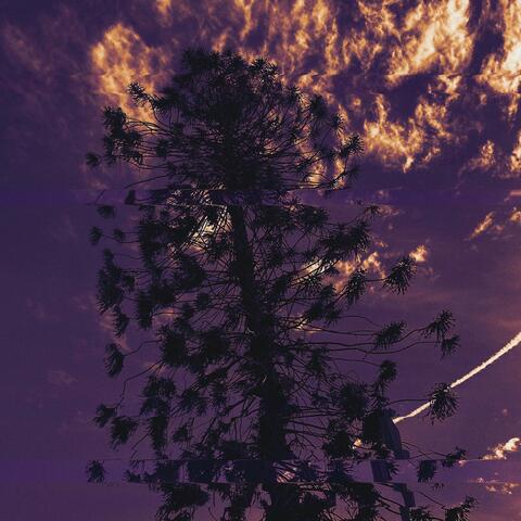 Family Tree (Wonderland) (feat. Aldo'Onie)