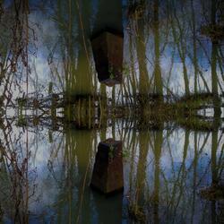 Rivulets