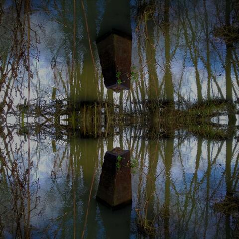 Rivulets