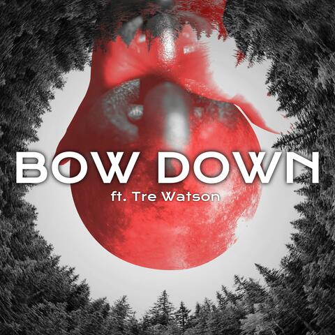 Bow Down (feat. Tre Watson)