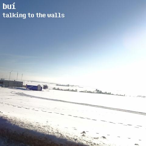 Talking to the Walls