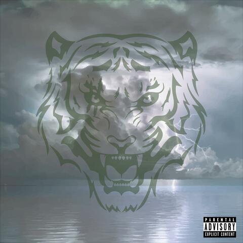 Lendemain de tempête