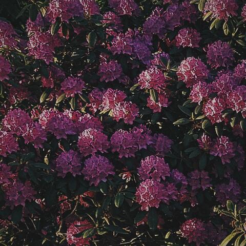 i'm supposed to be here