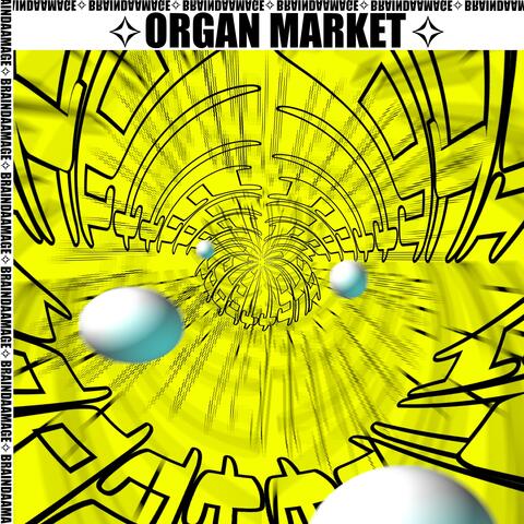 Organ Market