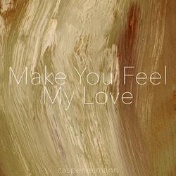 Make You Feel My Love