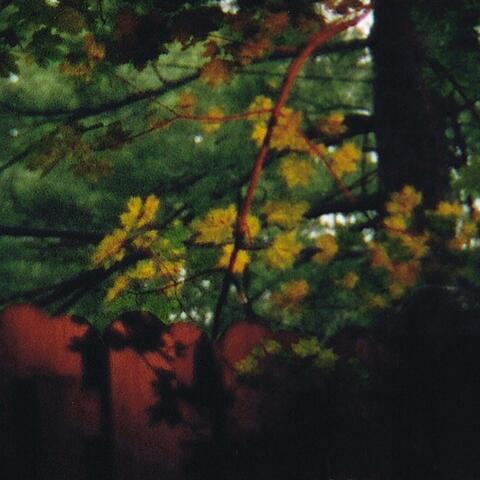 Pale Fire Sky