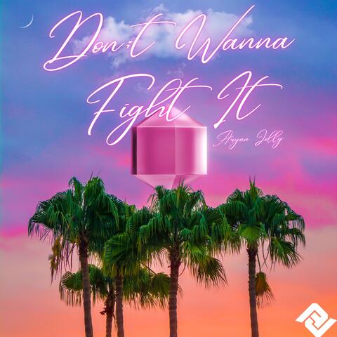 Don't Wanna Fight It
