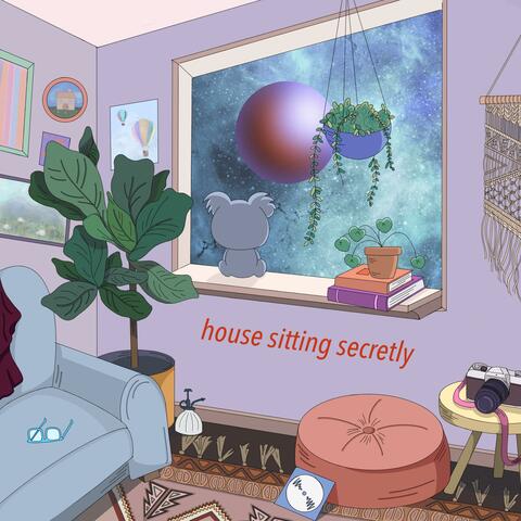 House Sitting Secretly
