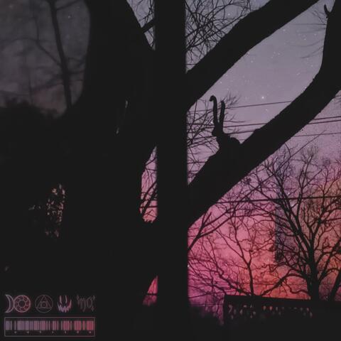 Looking Out My Window +*