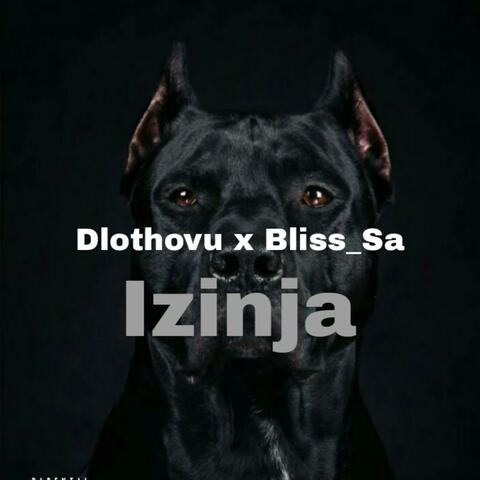Izinja (feat. Dlothovu)